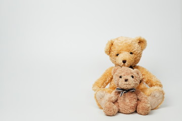 Teddy bear isolated on white background.