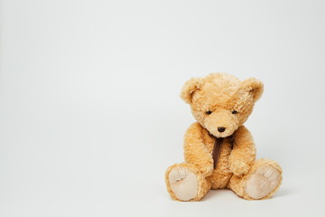 Teddy bear isolated on white background.