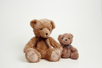 Teddy bear isolated on white background.