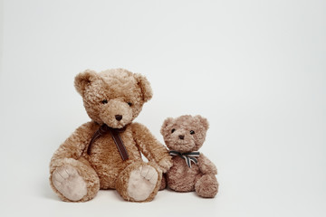 Teddy bear isolated on white background.