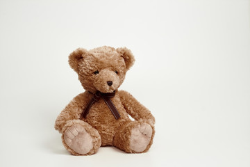 Teddy bear isolated on white background.