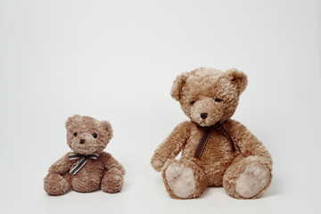 Obraz premium Teddy bear isolated on white background.