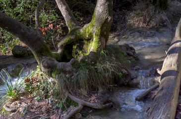 A small river flows in winter