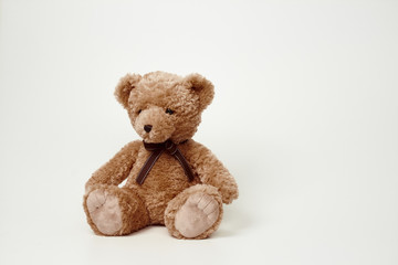 Teddy bear isolated on white background.
