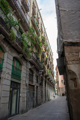 street in old town Barcelona Gothic Quarter 