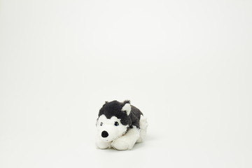 Cute dog doll isolated on white background. (with free space for text) 