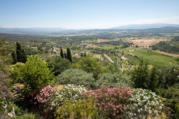 Fields and meadows in valley below Gordes, Provence France