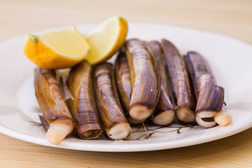 fresh razor clam dish, seafood