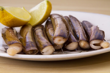 fresh razor clam dish, seafood
