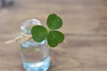 Cute bottle of water with three leaves clover（28-1）
