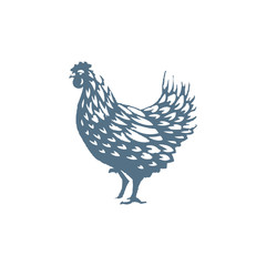 Chicken illustration vector