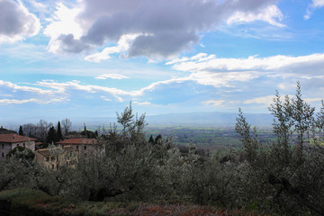 Assisi