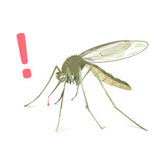 Mosquito cartoon vector illustration