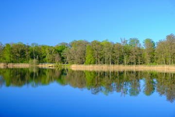 Lake with beautiful reflections in the spring