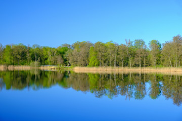 Fototapeta premium Lake with beautiful reflections in the spring