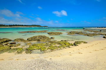 奄美大島　土盛海岸