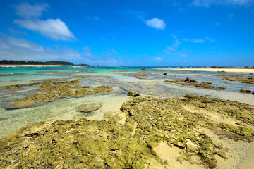 奄美大島　土盛海岸