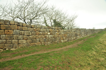 Fototapeta na wymiar Hadrian's Wall in Northumberland, UK