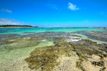 奄美大島　土盛海岸