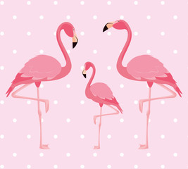 Obraz premium elegant flamingo birds family dotted background