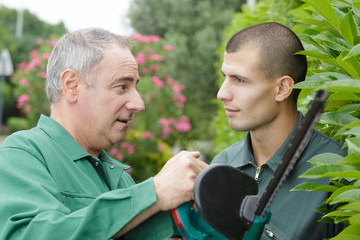 gardener instructing apprentice to cut hedge
