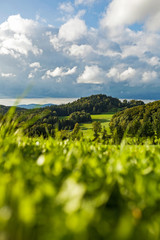 Obraz premium Bayerischer Wald H