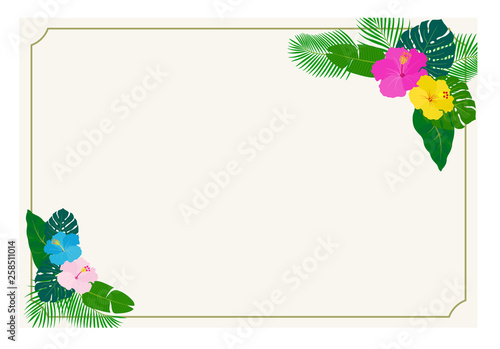 南国の花と植物 ハガキテンプレート Wall Mural Wallpaper Murals Dragontiger8 南国の花と植物 ハガキテンプレート Wall Mural Wallpaper Murals Dragontiger8