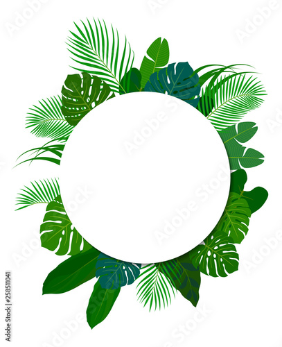 南国の植物 装飾フレーム Wall Mural Wallpaper Murals Dragontiger8 南国の植物 装飾フレーム Wall Mural Wallpaper Murals Dragontiger8