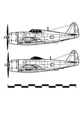 Obraz premium Republic P-47 THUNDERBOLT. Outline drawing