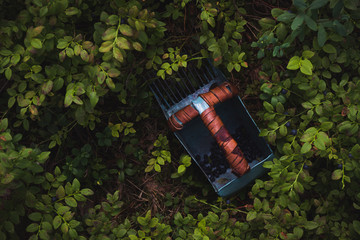 Old blueberry picking tool