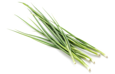 green onion isolated on white background