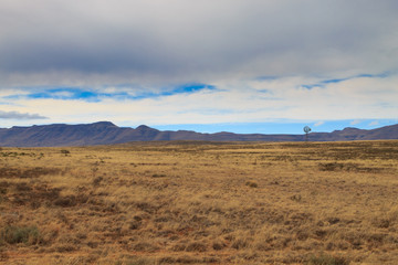 Landscape from Orange Free State, South Africa