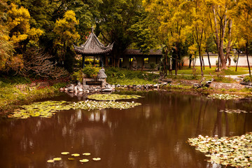 in the thicket of the forest is the Chinese national gazebo