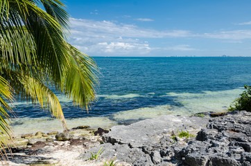 rocky beach at Mexican Caribbean