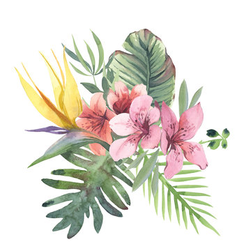 Watercolor bouquet of tropical flowers and leaves on white background