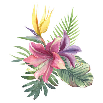 Watercolor bouquet of tropical flowers and leaves on white background