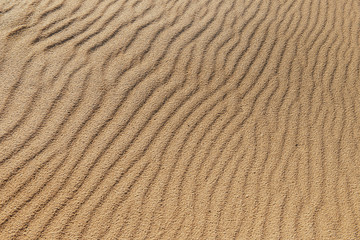 sand texture