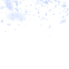 Light blue flower petals falling down. Enchanting 