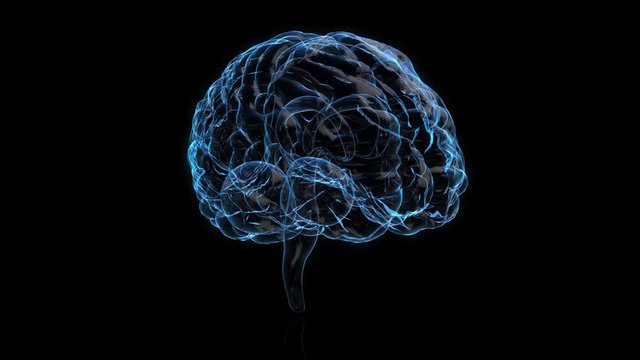3d animation graphic design of brain. alpha glass background. Brain showing and spinning with mri scan in creativity model and health concept