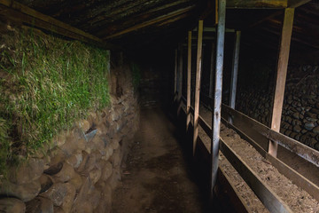 Inside the turf shed for sheeps in historical Hjardarhagi farm in Iceland