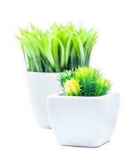 verticla image plastic plants in white ceramic pots isolated