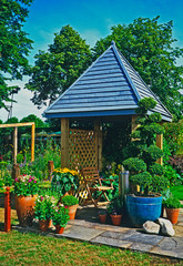 A colourful urban garden with planted containers of flowers and a cloud pruned topiary tree with covered seating area