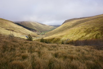 Obraz premium Valley