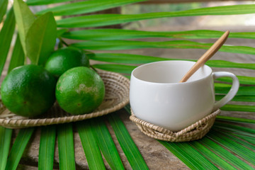 Lime green on white wood and glass