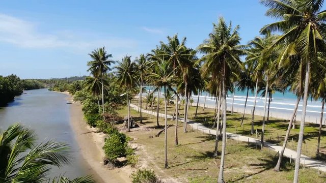 Fly over tropical palmtrees at river to the sea , San Vincente, Philippines