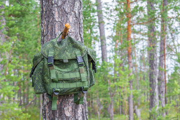 Backpack for a podod is suspended by handle on wooden hook of tree trunk in coniferous forest.