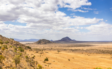 Savannah plains landscape in Kenya