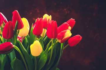 red and yellow tulips