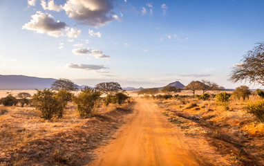Safari road in Kenya - 258528448