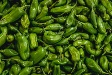 Obraz na płótnie Canvas Padron green peppers for sale in Livramento food market in Setubal town, Portugal